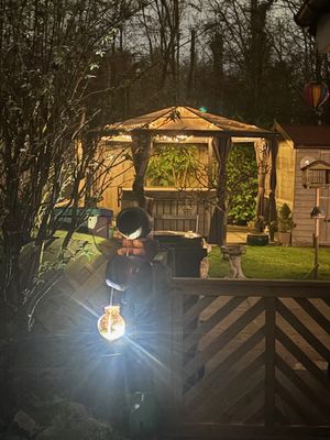 Photo 31- click for photo gallery